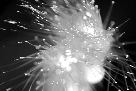 Compact Optical Pulse Shaper for Use in Optical Fiber Communications