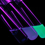 Fluorescent Protein Integrated Light Emitting Diodes