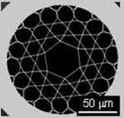 Gas-Filled Fiber Laser Based On Population Inversion