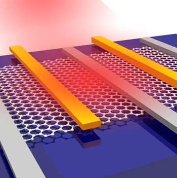 High bandwidth graphene photodetector