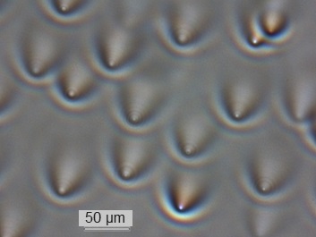 High Intensity Slot-Waveguides for Low Refractive Index Materials