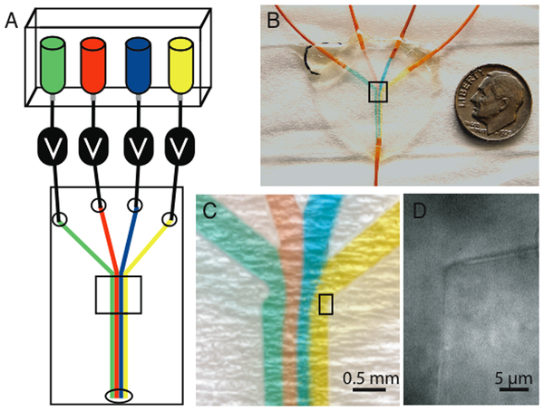 Improved device for the accurate measurement of analytes in a biological or non-biological solution.