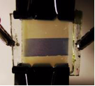 Improved electrochromic device greatly reduces the response time