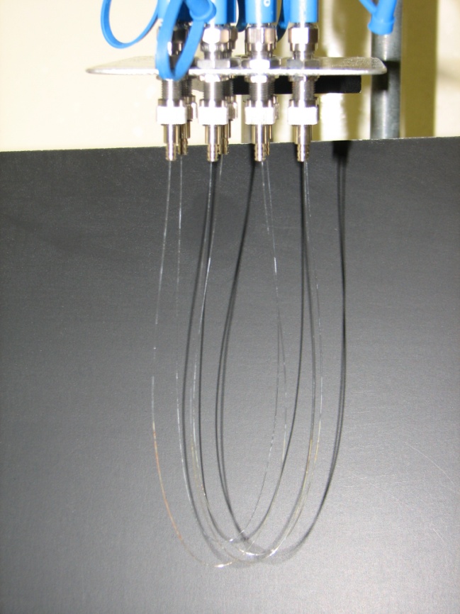 Ion-Selective Optical Fiber Sensor