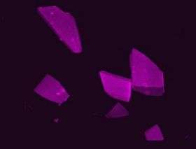 Molecular Biomedical Engineering