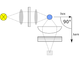 Molecular Distribution Analysis in Fluorescence Correlation Spectroscopy