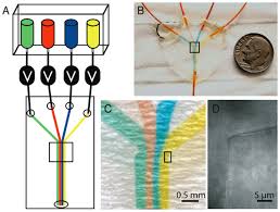 Multicolor Fluorescence Detection for Microfluidic Devices