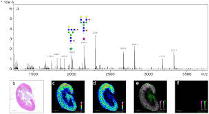 Nanoscale Subsurface Imaging System