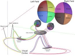 Novel Simplified Optics Retinal Camera