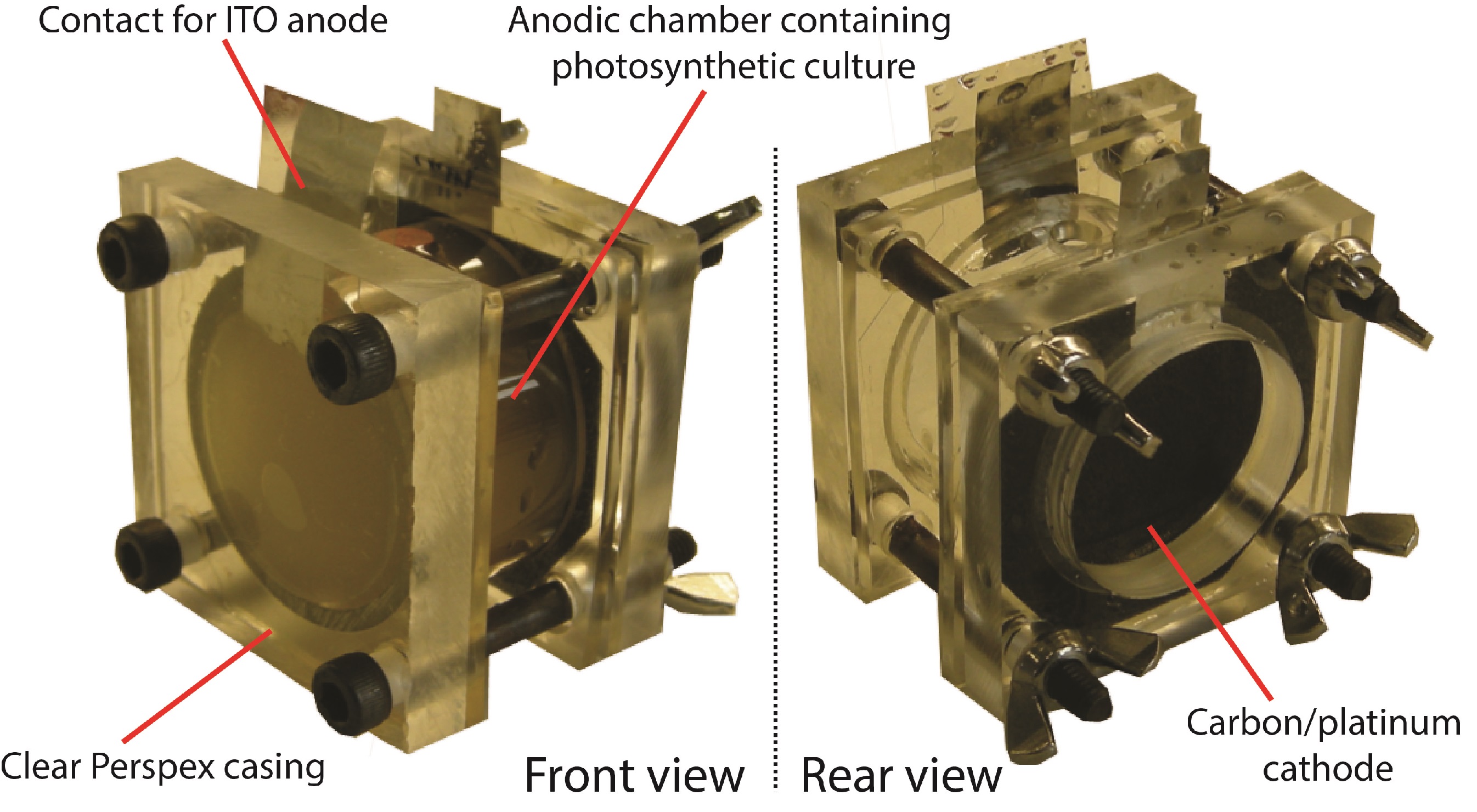 Novel way to increase the efficiency of an organic photovoltaic device