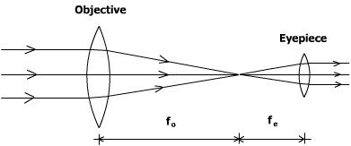 Objective Lens with dichroic element for Laser Scanning Microscopy