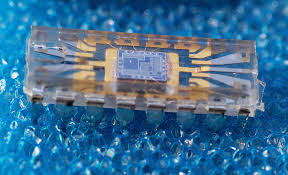Optical device for detecting antigens in a cell