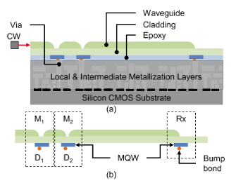 Optical Interconnect for High Bandwidth Inter-Chip Communications