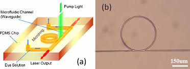 Optofluidic Dye Laser for Efficient Energy Harvesting