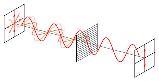 Terahertz and Cross-Polarized Imaging for Cancer Detection