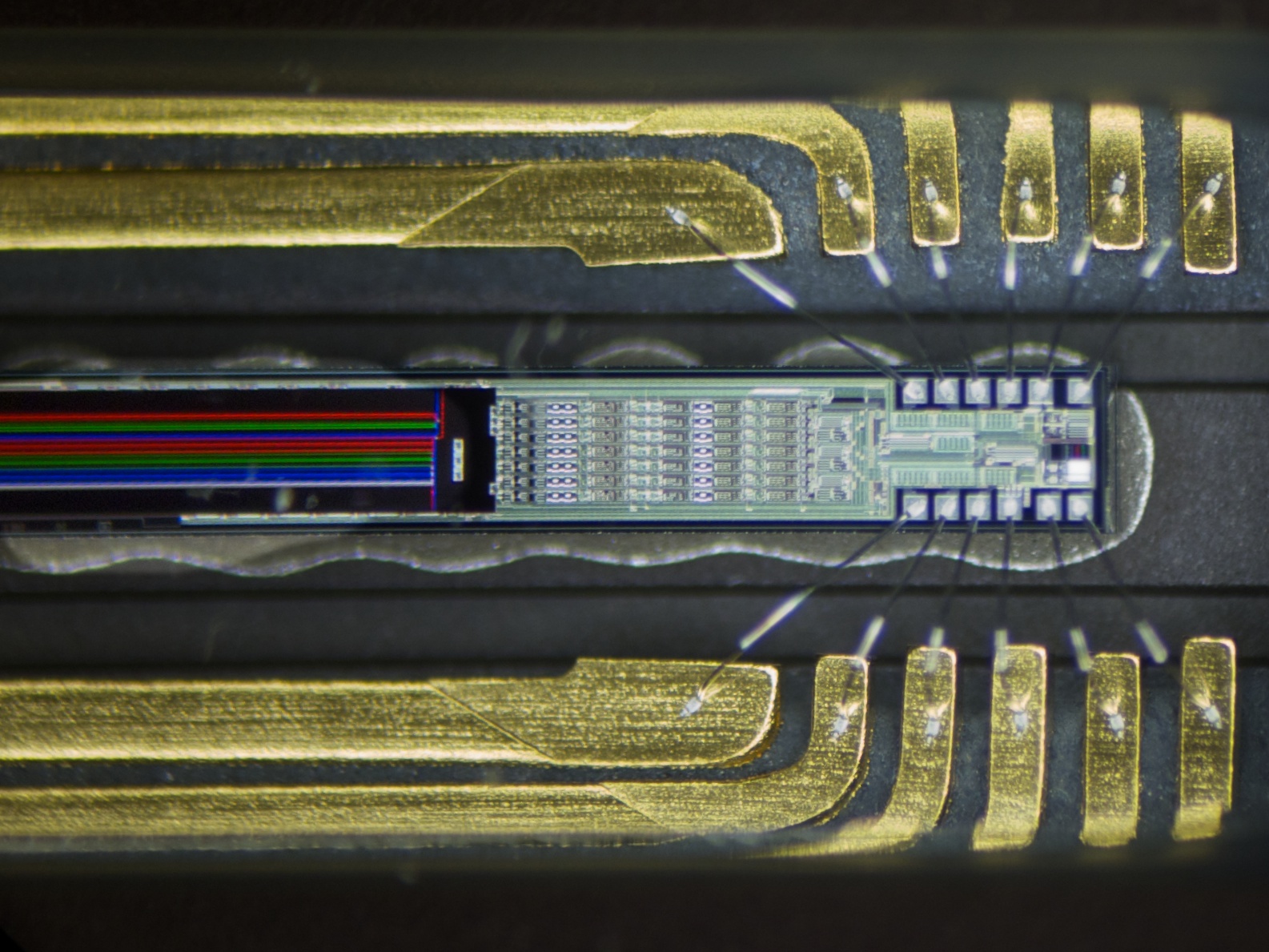 Ultra-Large Field-of-View Fluorescent Imaging for life sciences and medical applications